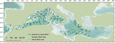 Acoustic estimates of sperm whale abundance in the Mediterranean Sea as part of the ACCOBAMS Survey Initiative